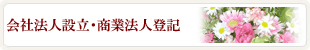 会社法人設立・その他の商業法人登記