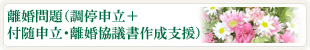 離婚問題（調停申立＋付随申立・離婚協議書作成支援）